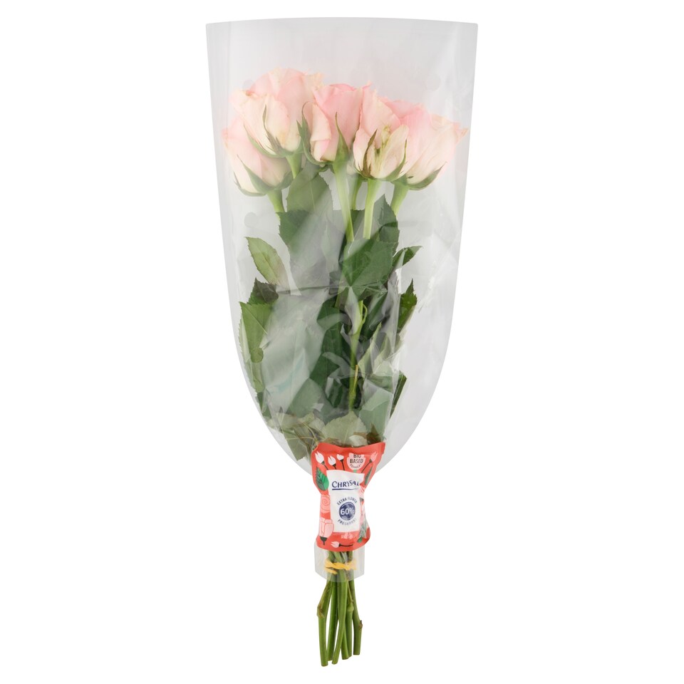 image 1 of Bouquet of Roses 7 Stems