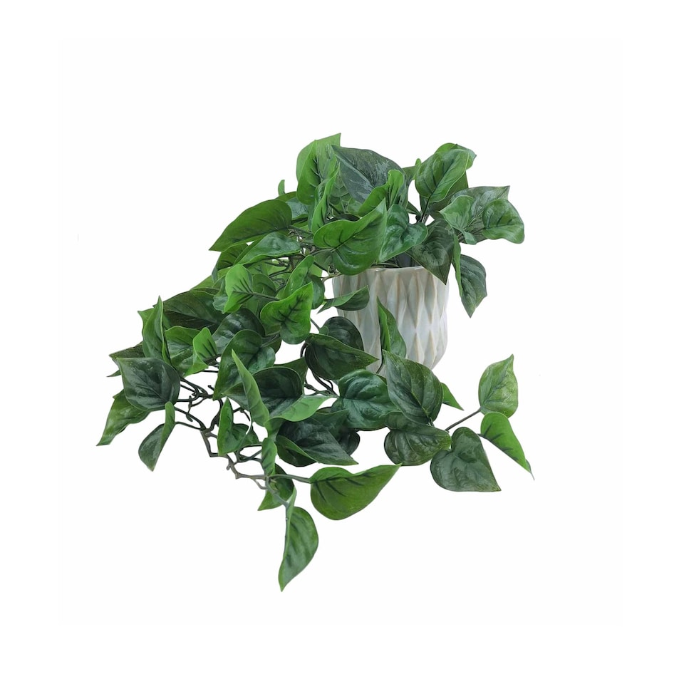 Bayswood Artificial Trailing Plant in Ceramic Pot