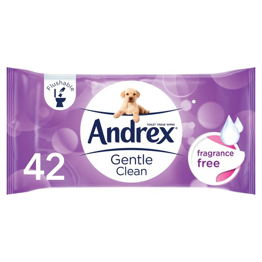 Andrex Washlets Gentle Clean 42 Refill Wipes Tesco Groceries