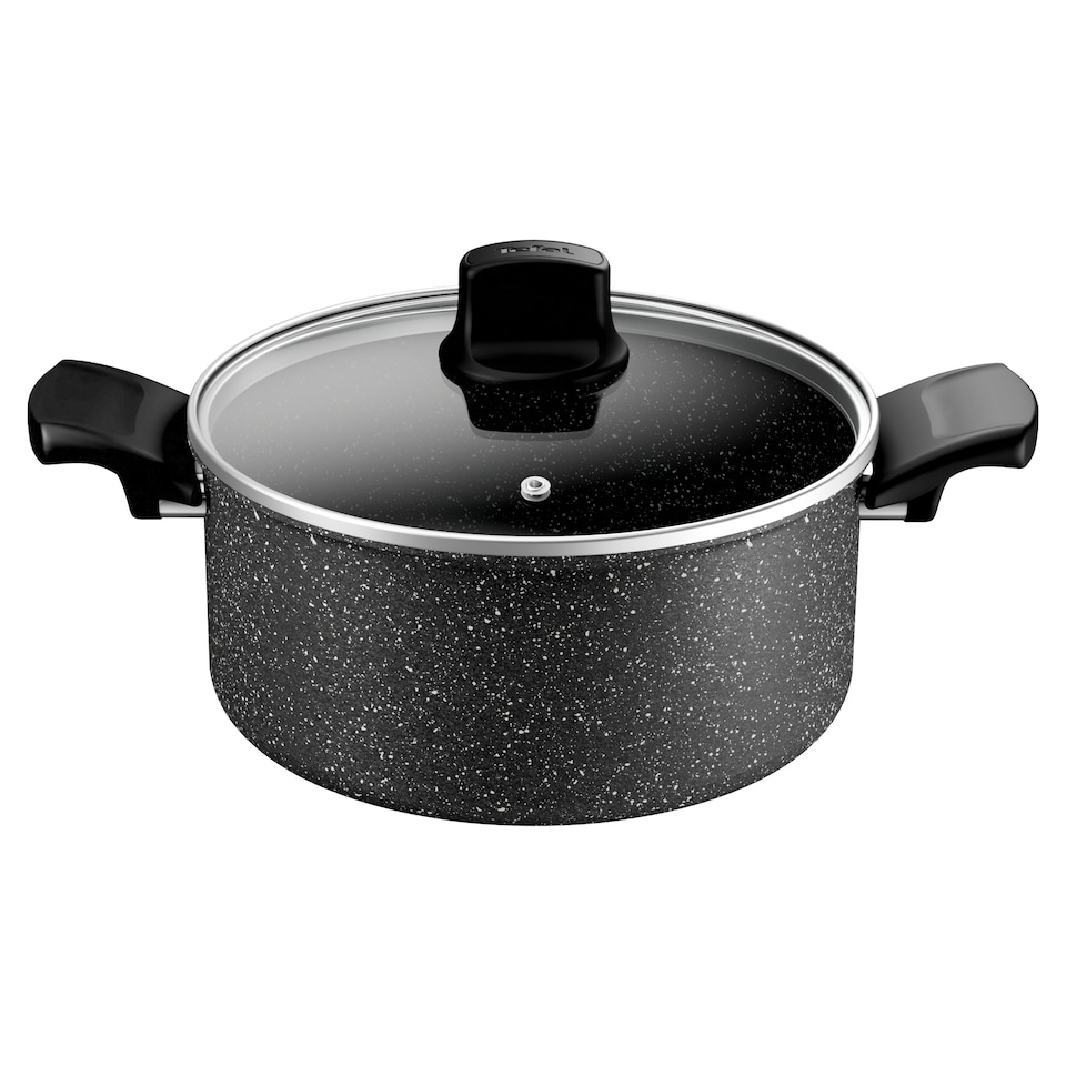 Tefal Stone Force Induction Non-stick Stewpot 24cm + lid