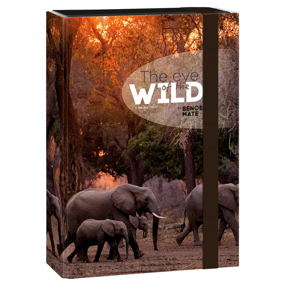 Ars Una Studio The Eye of the Wild by Bence Máté A4 füzetbox  1. kép
