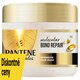 obrázok 1 z Bezoplachový krém Pantene Molecular Bond Repair 300 ml na poškodené vlasy
