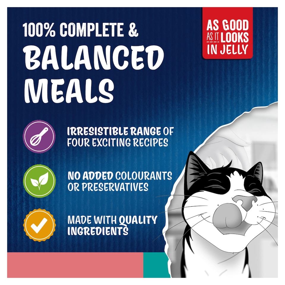 image 1 of FELIX Doubly Delicious Ocean Recipes in Jelly Wet Cat Food 12x85g