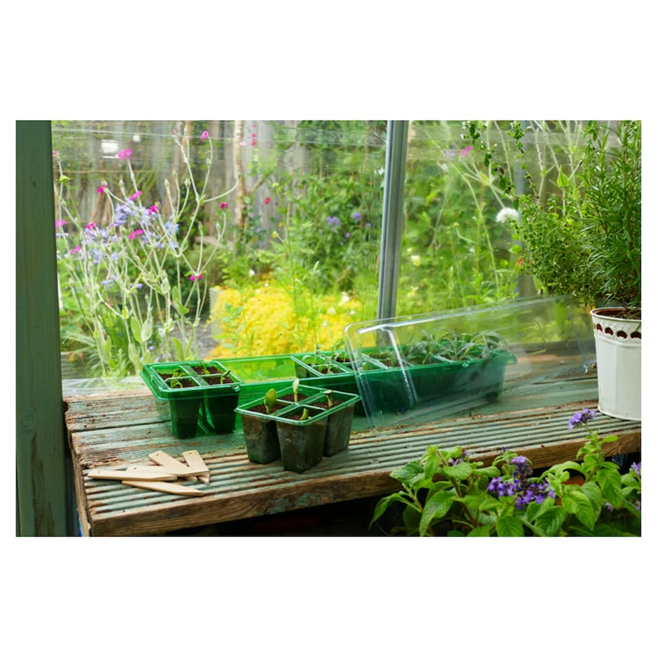 Gro-Sure Windowsill Propagator Set