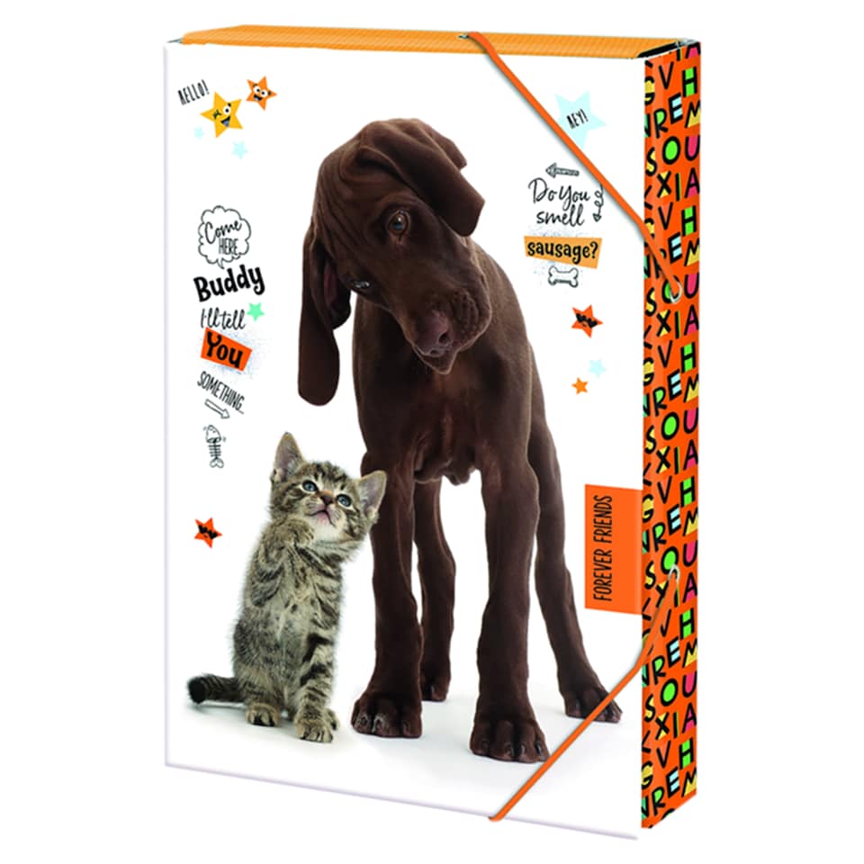 Forever Friends School Folder A4