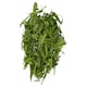 image 2 of Tesco Tarragon 20G