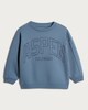 image 4 of F&F Boys Cotton Rich Aspen Colorado Slogan Sweatshirt in Blue