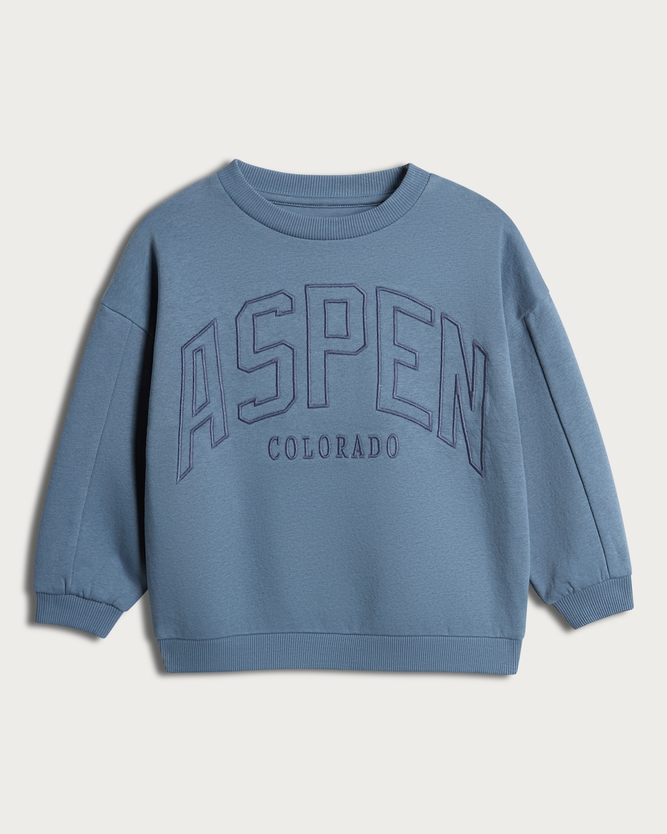 image 1 of F&F Boys Cotton Rich Aspen Colorado Slogan Sweatshirt in Blue