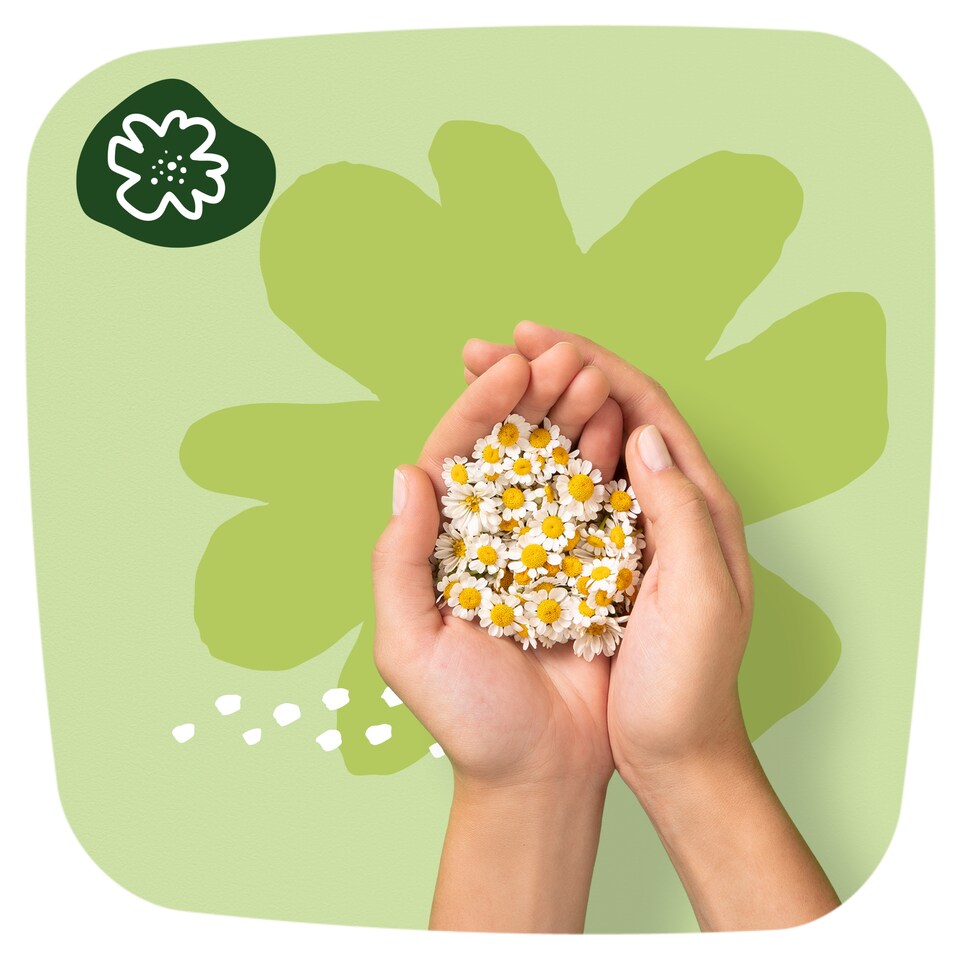 Naturella Classic Maxi Camomile Egészségügyi Betét szárnyas betét x8  1. kép