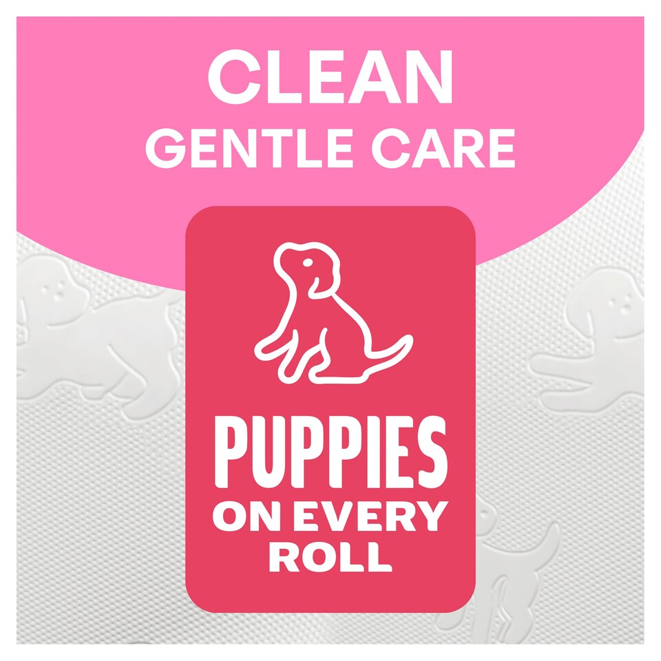 image 1 of Andrex 16 Rolls Toilet Tissue Gentle Clean