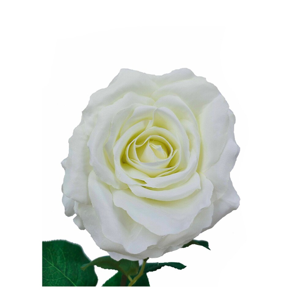 image 1 of Bayswood Artificial Floral Stem Rose