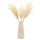 image 3 of Pampas In Cream Vase
