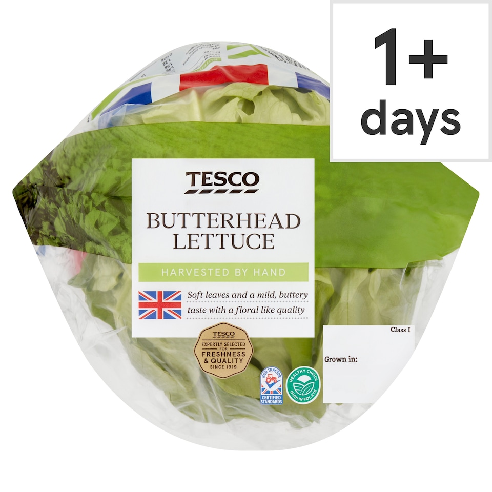 image 1 of Tesco Butterhead Lettuce