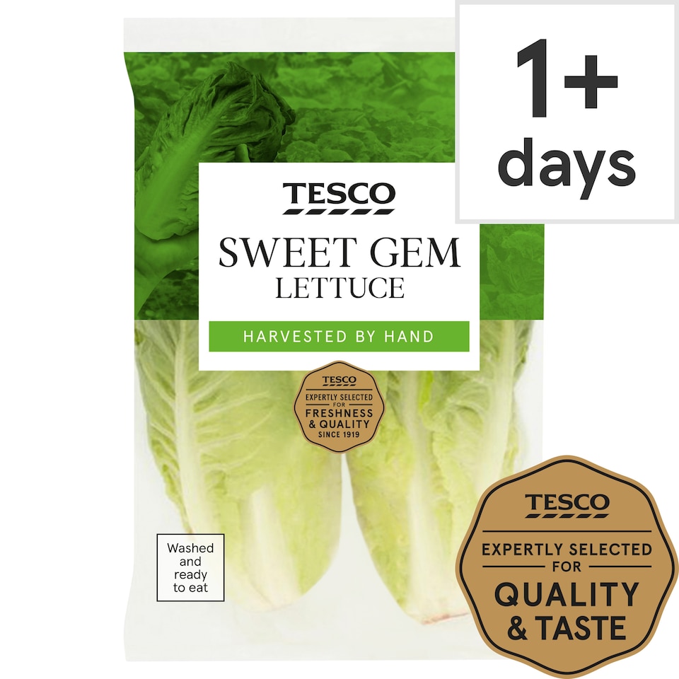 Tesco Sweet Gem Lettuce