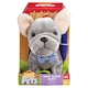 Addo Pitter Patter Pets francia bulldog kutyus  1. kép