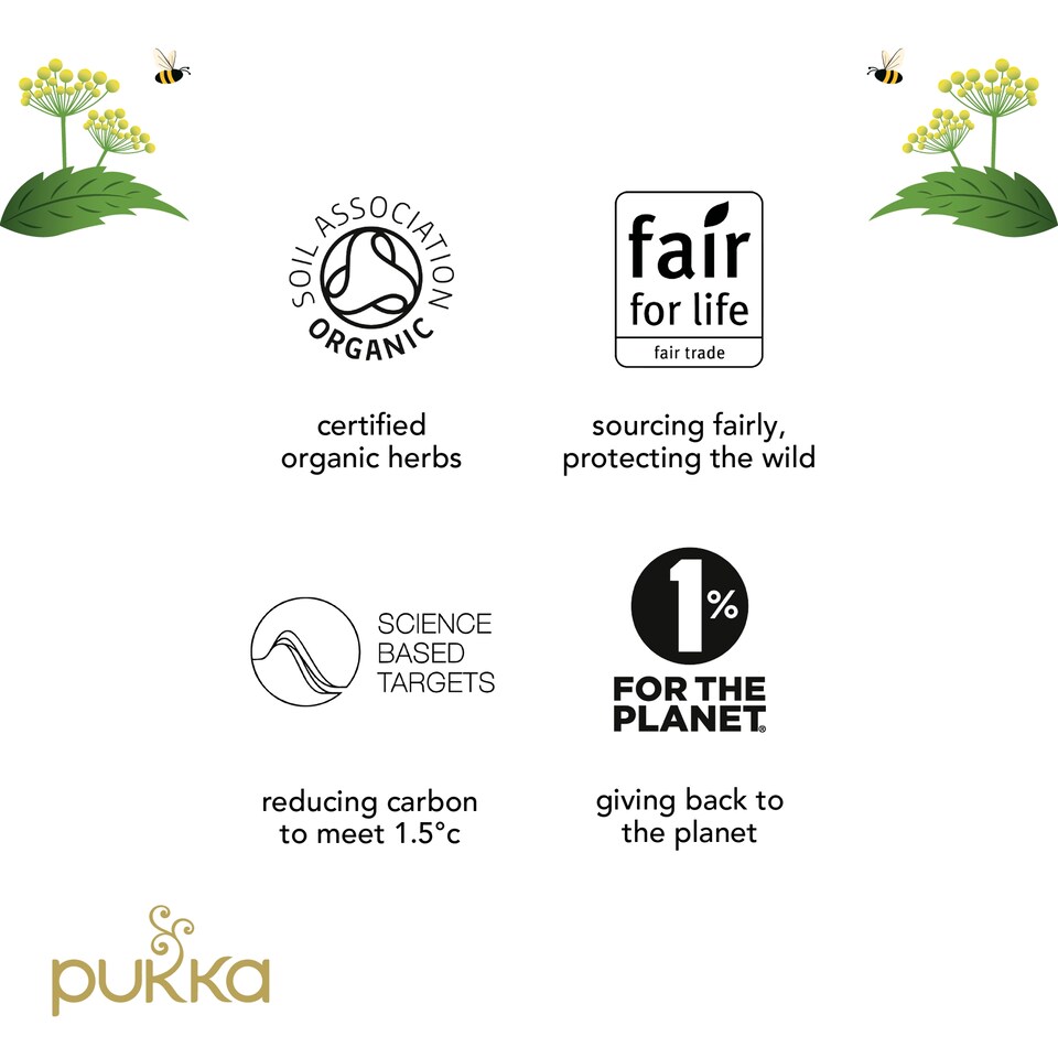 image 1 of Pukka Organic Night Time Berry Herbal Tea 20 Pack 36g