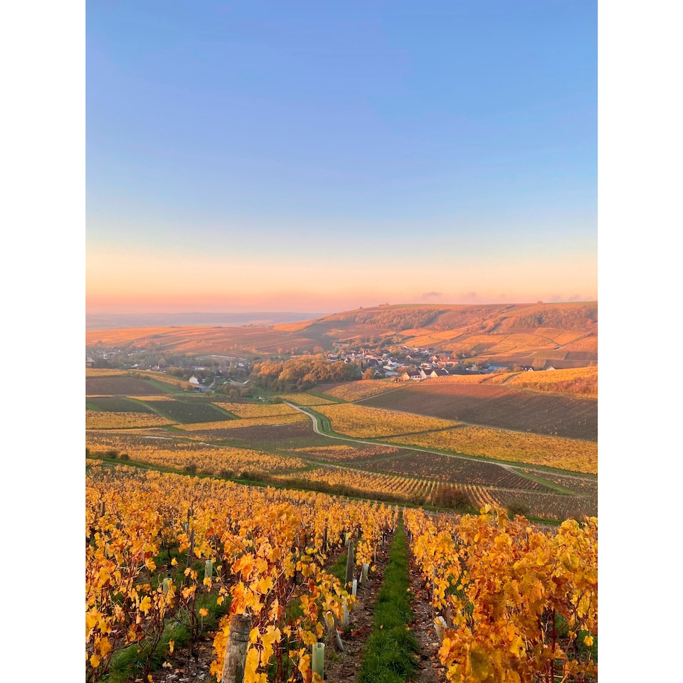 image 1 of Joseph Mellot Sancerre Le Montarlet 75cl