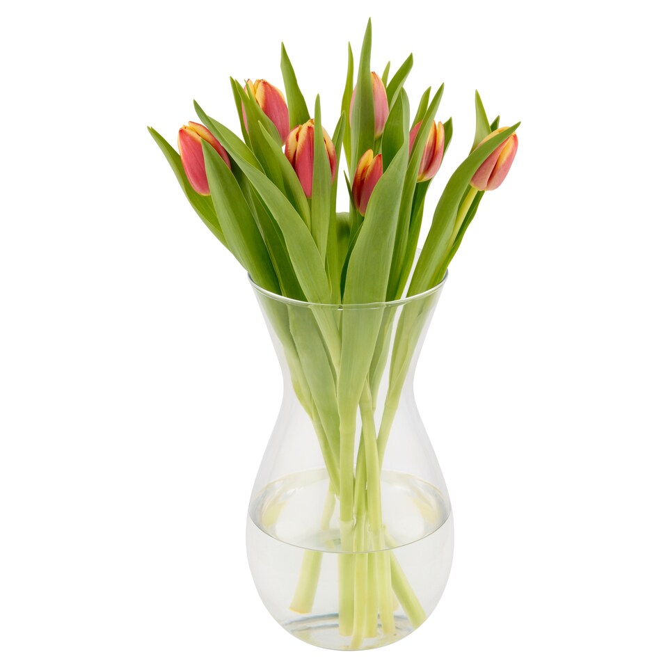 Kytice tulipány 7 ks