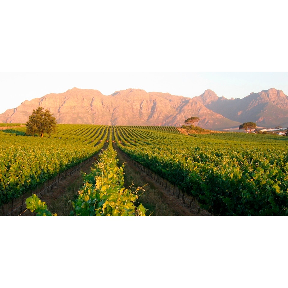 image 1 of Kleine Zalze Shiraz Blend 750ml