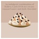 image 4 of Carte D'Or Baileys Ice Cream Tub 825ml