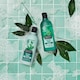 image 4 of Alberto Balsam Tea Tree Tingle Conditioner 300Ml