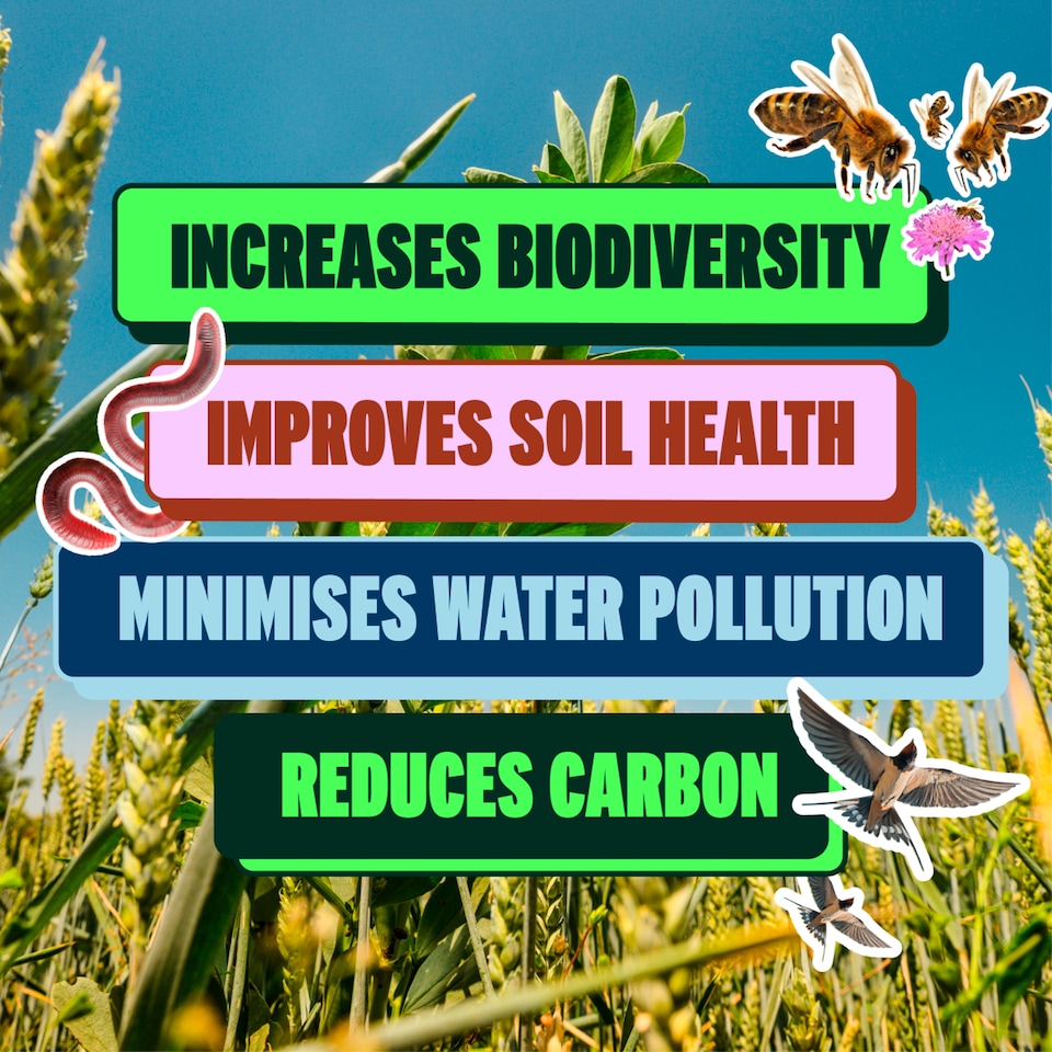 image 1 of Wildfarmed Plain Flour 1kg