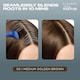 image 2 of Clairol Root Touch-Up Colourblend Hair Dye - Medium Golden Brown 5G