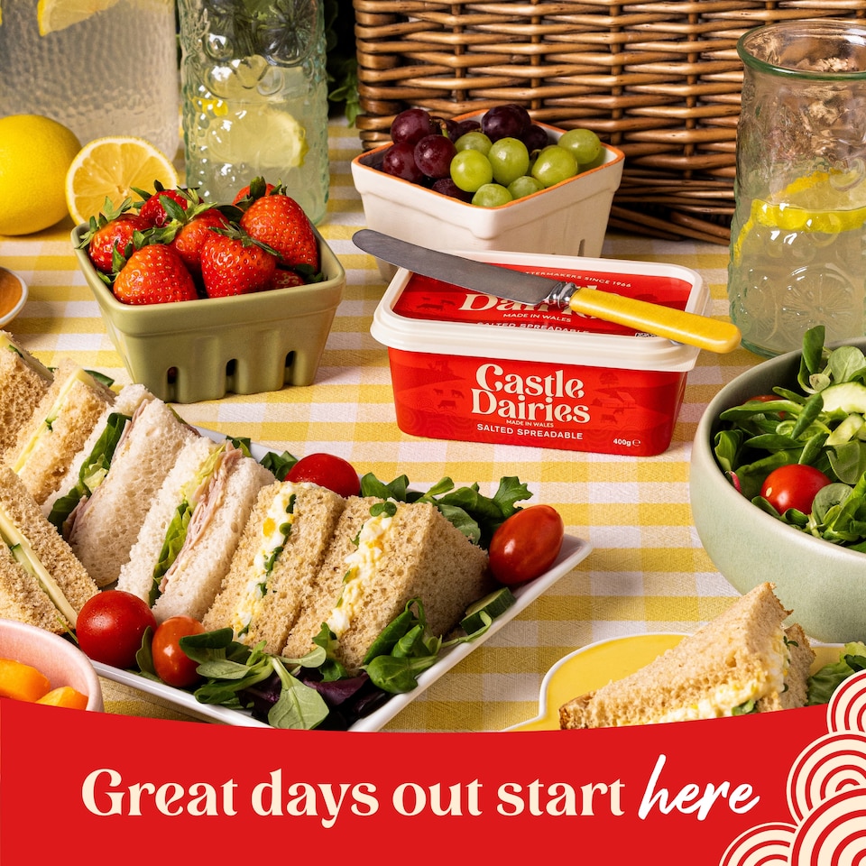 image 1 of Castle Dairies Salted Spreadable 400g