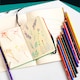 image 3 of BIC Intensity Colouring Pencils 12 Pack