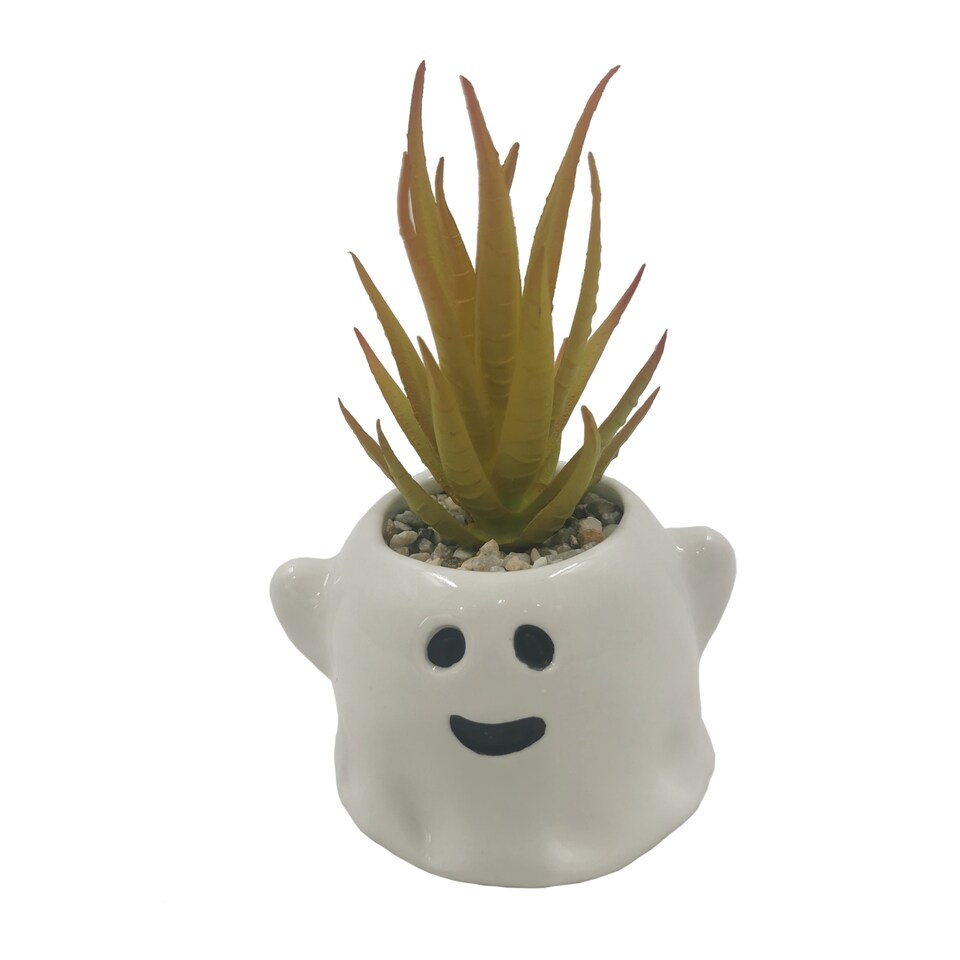 Bayswood Artificial Succulent in Ghost Pot