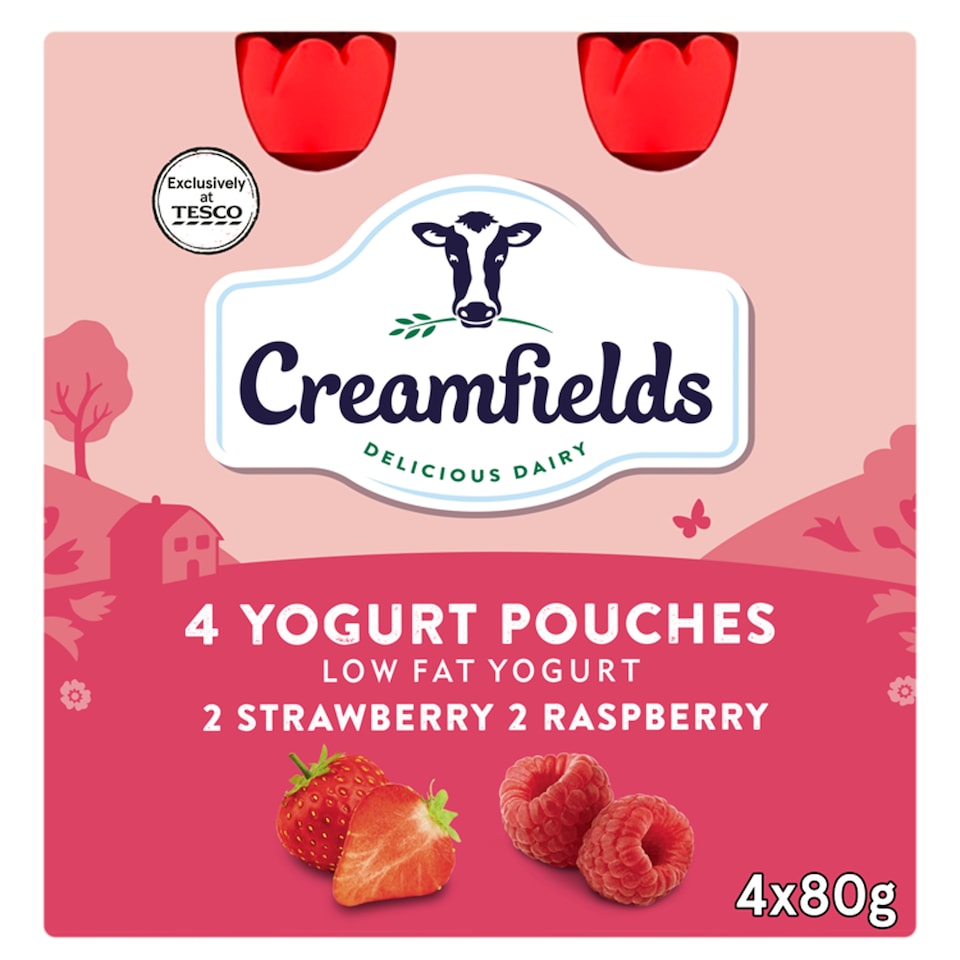 Creamfields 4 Pack Strawberry Raspberry Yogurt Pouches 320G