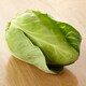 image 2 of Redmere Farms Sweetheart Cabbage
