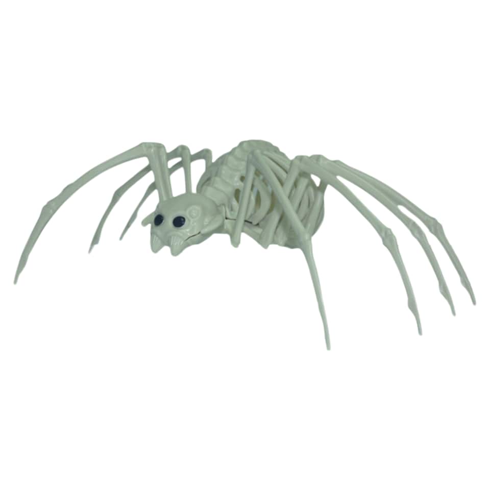 Halloween Skeletor Spider