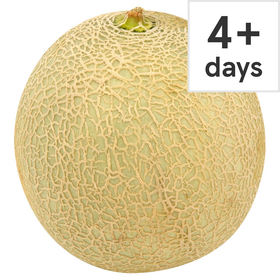 image 1 of Tesco Cantaloupe Melon Each