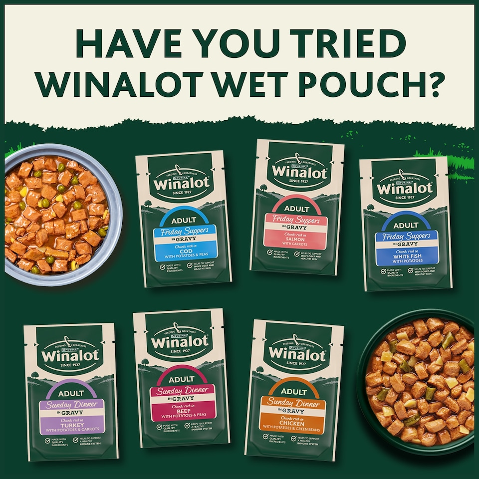 image 1 of WINALOT® Classics Mixed in Jelly Wet Dog Food 6x400g