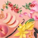 image 2 of Yankee Golden Peach Wax Melts 75g