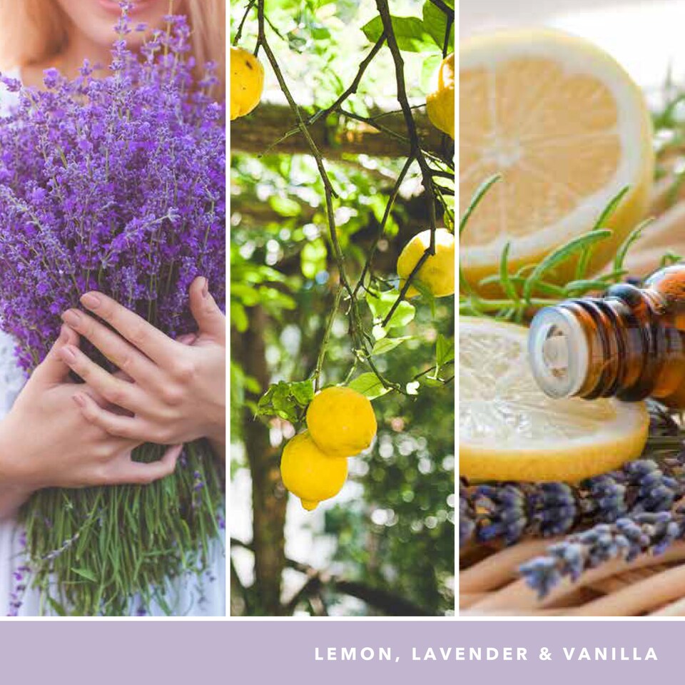 image 1 of Yankee Candle Signature Lemon Lavender Large Jar 567g