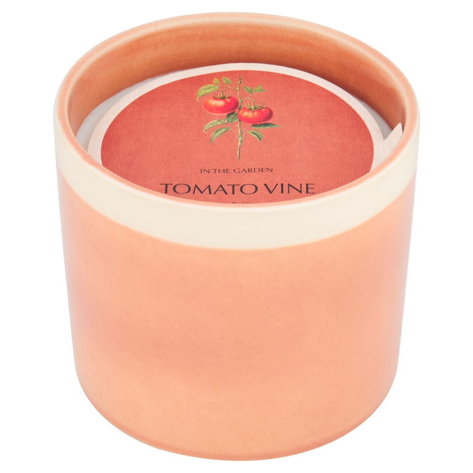 F&F Home In the Garden Tomato Vine Large Candle 600g