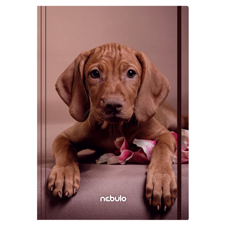 image 1 of Nebulo Elastic Folder A5