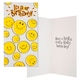 image 1 of Hallmark Birthday Card It's Your Birthday Smiley Faces