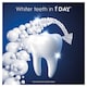 image 2 of Oral-B 3D White Clinical Intensive Whitening Radiant White 75ml