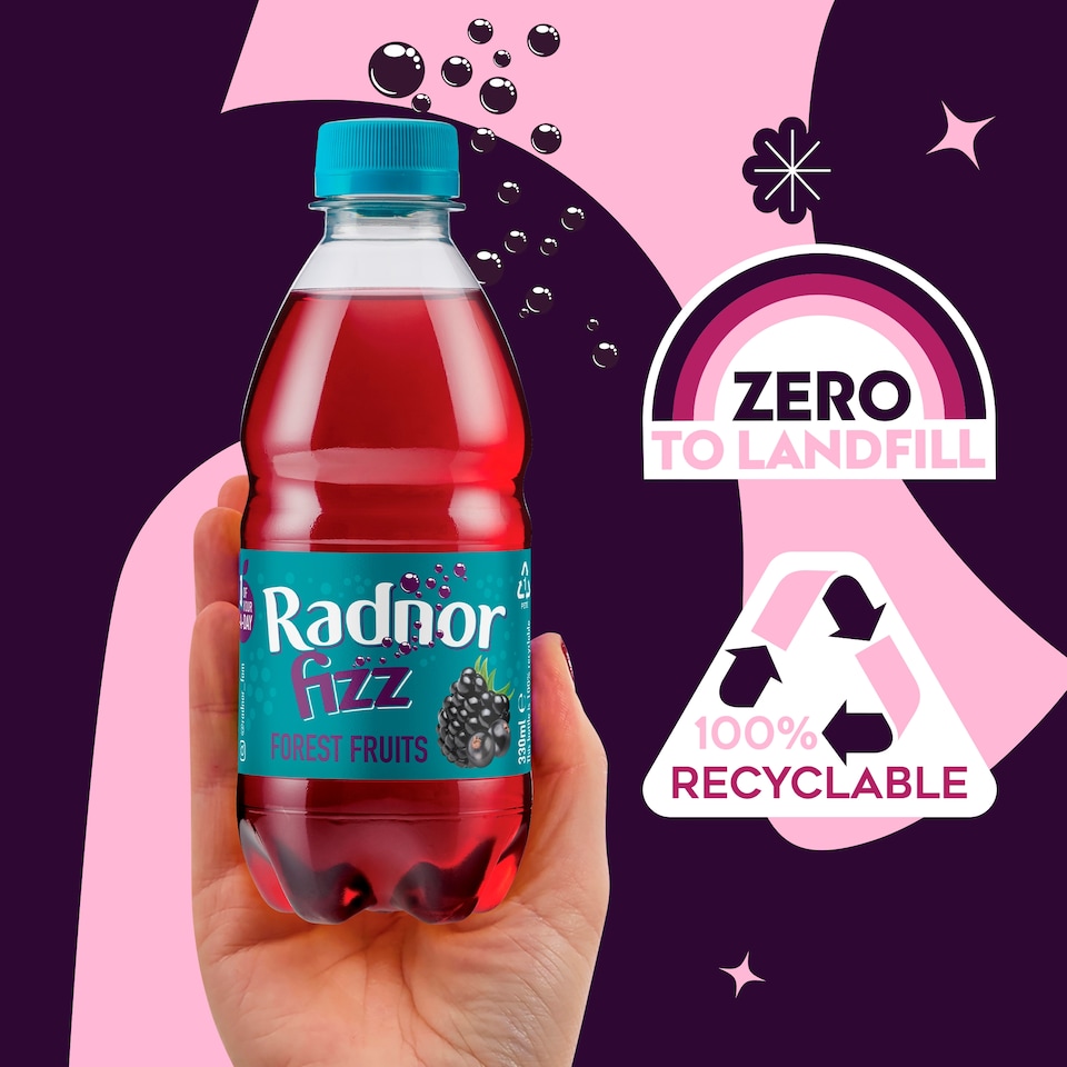 image 1 of Radnor Fizz Forest Fruits 4x330ml