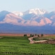 image 2 of Vinalba Patagonia Reserve Malbec 75Cl