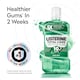 image 4 of Listerine Total Care Teeth and Gum Fresh Mint Mouthwash 500ml
