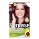 image 1 of Garnier Nutrisse 4.6 Deep Red Permanent Hair Dye