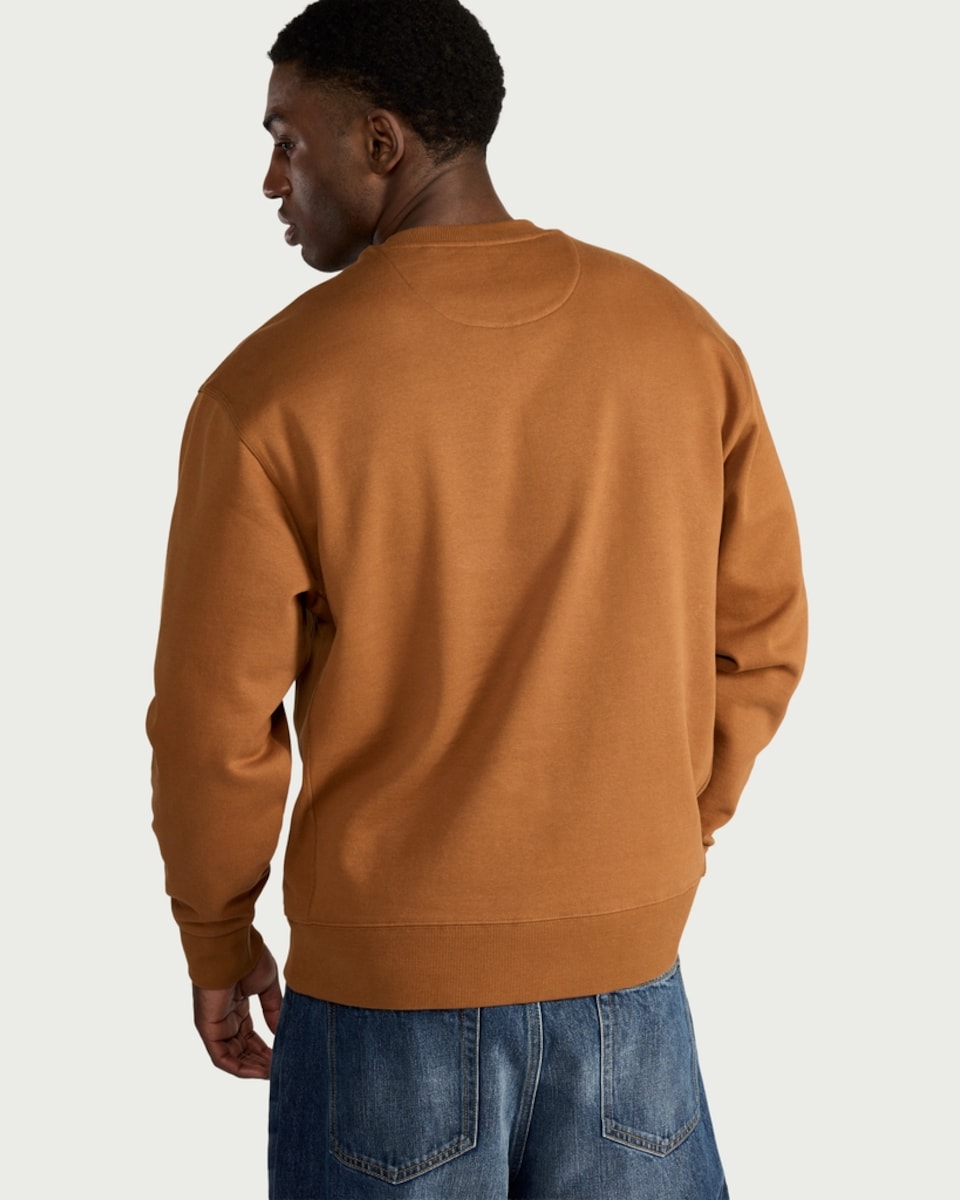 image 1 of RDA Pure Cotton Embroidered Sweatshirt in Camel