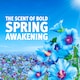 image 3 of Bold Washing Liquid Spring Awakening 72 Washes 2232ml