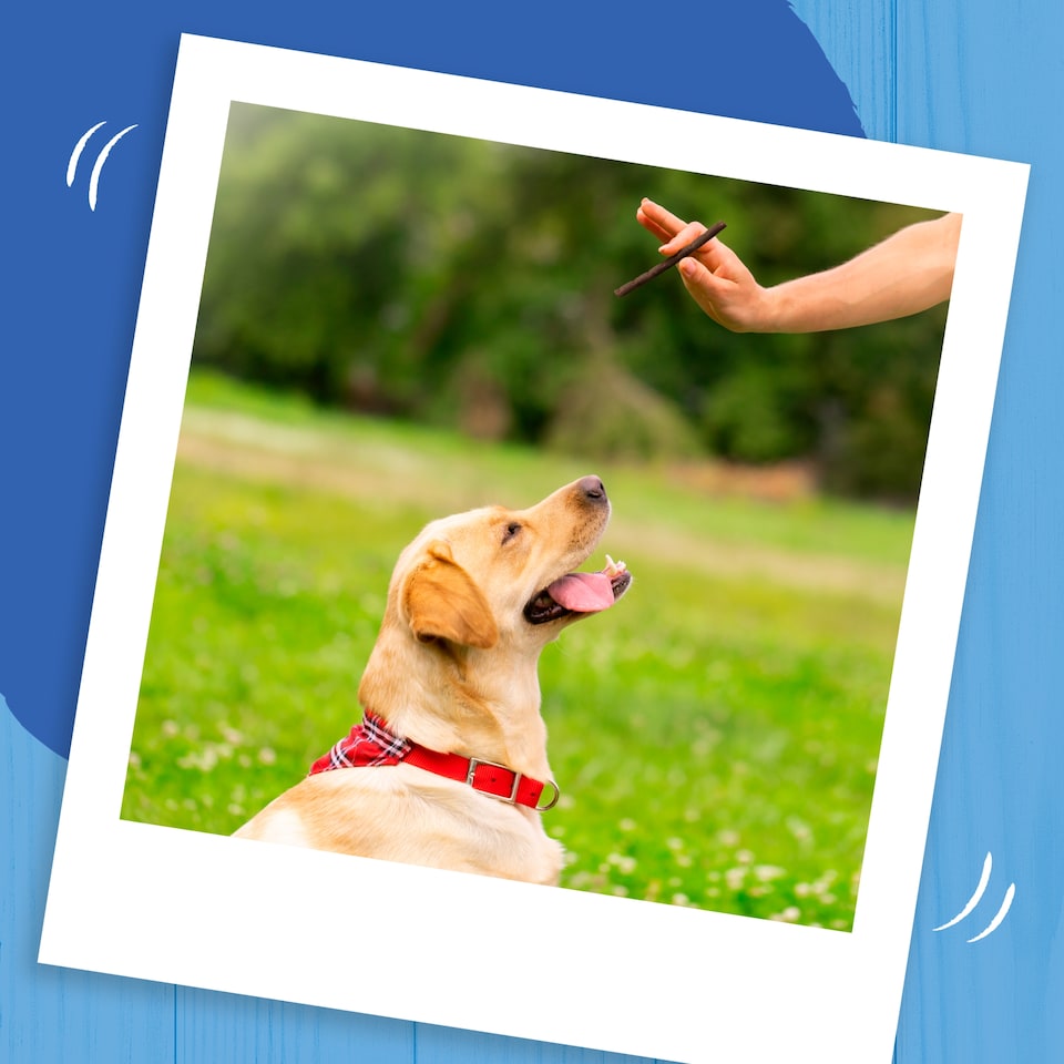 image 1 of BAKERS Rewards Chicken; Beef and Lamb Dog Treats 100g