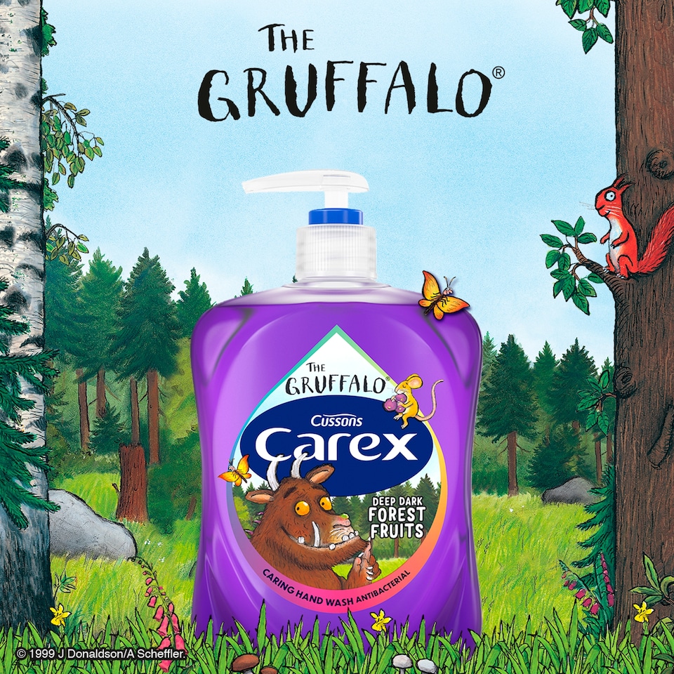image 1 of Carex Gruffalo Deep Dark Forest Fruits Handwash 250ml