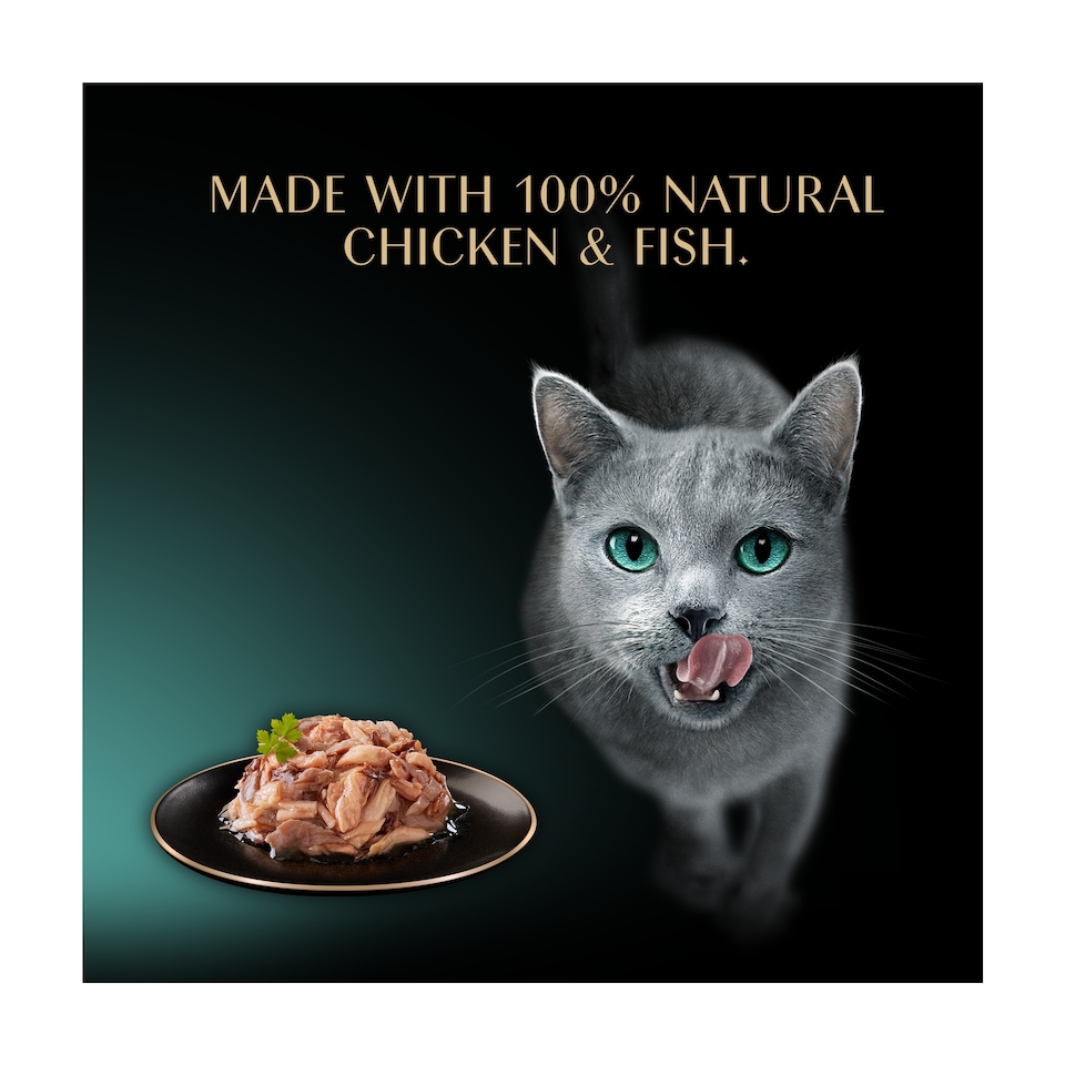 image 1 of SHEBA Filets Adult Cat Food Tray with Chicken,Tuna,Poultry,Salmon 6 x 60g